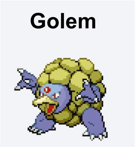 smogon golem